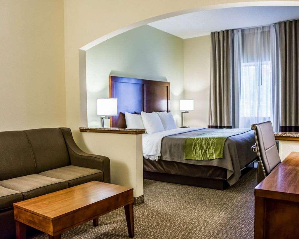 Comfort Inn Fort Myers Northeast Værelse billede