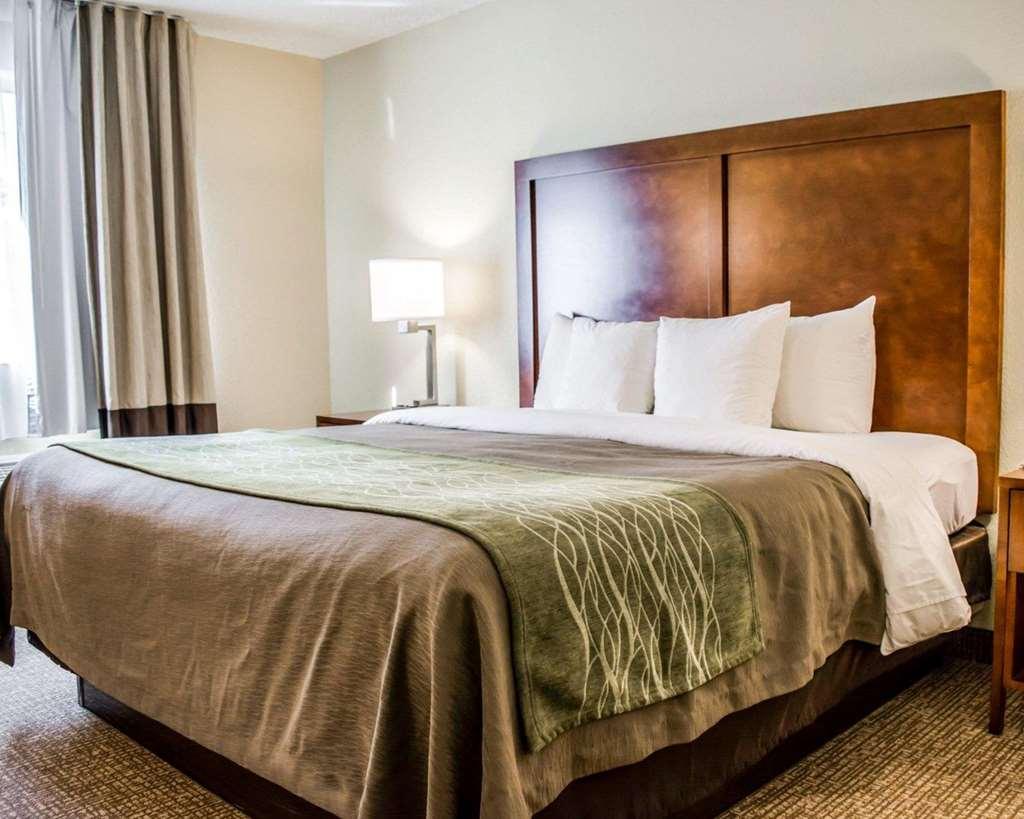 Comfort Inn Fort Myers Northeast Værelse billede